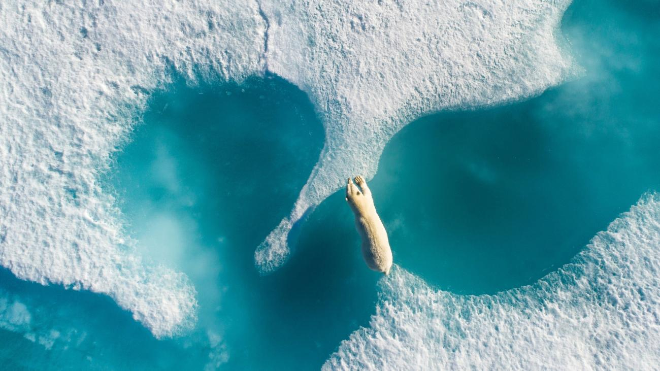 Объявлены победители конкурса Drone Awards: фото, перехватывающие дух