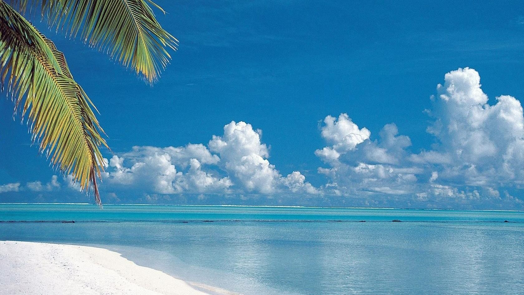 Фильмы про летний отдых на выходные: трейлеры Фильмы про летний отдых на выходные: трейлеры