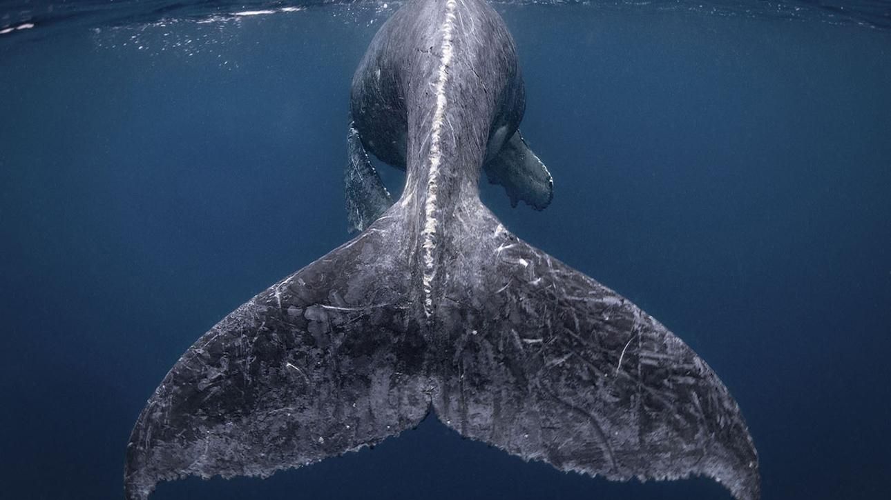 National Geographic назвав переможців тревел-конкурсу: дивовижні фото National Geographic назвав переможців тревел-конкурсу: дивовижні фото