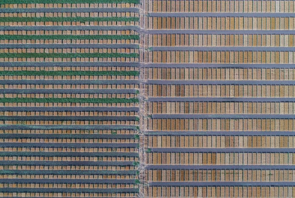 Мальовнича мозаїка українських полів: захопливі фото Мальовнича мозаїка українських полів: захопливі фото