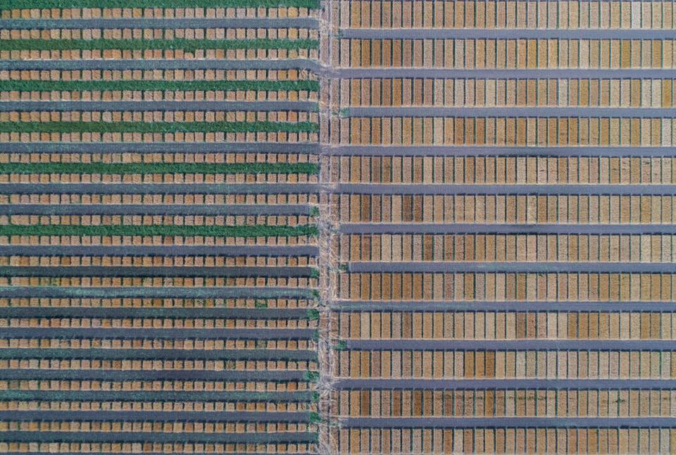 Живописная мозаика украинских полей: захватывающие фото