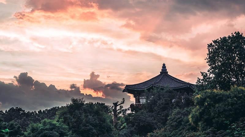 Колоритна Південна Корея очима фотографа: захопливі кадри Колоритна Південна Корея очима фотографа: захопливі кадри