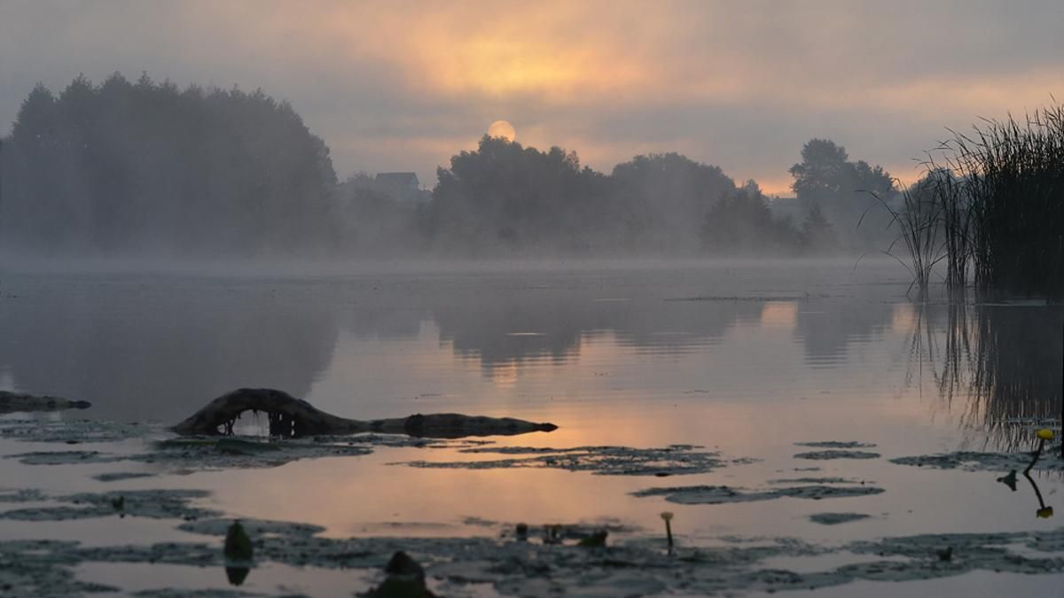 Що подивитися на Сумщині Що подивитися на Сумщині
