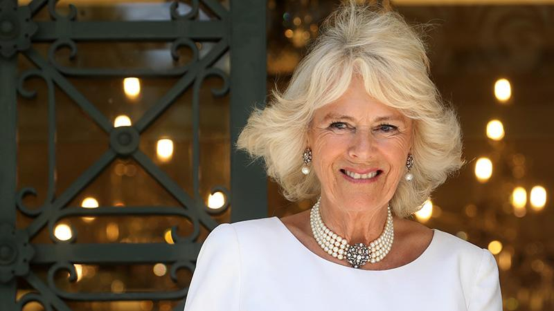 Она не злая мачеха, – принц Гарри впервые рассказал об отношениях с герцогиней Камиллой