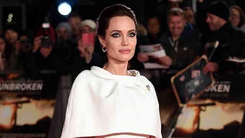 Анджелина Джоли составляет на Брэда Питта провокационное досье, – СМИ