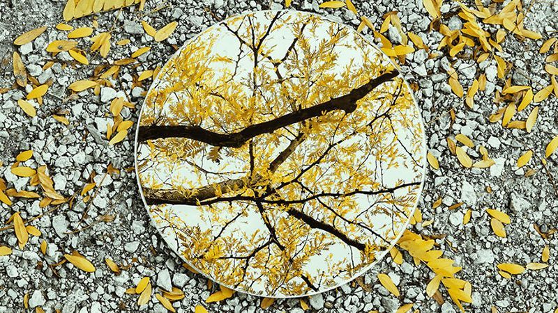 Фотограф по-особливому показав красу природи: неймовірні фото Фотограф по-особливому показав красу природи: неймовірні фото