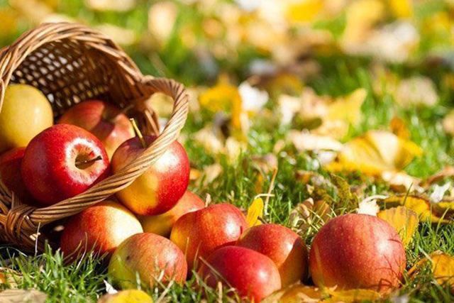 Яблучний Спас: як обрати яблука для освячення