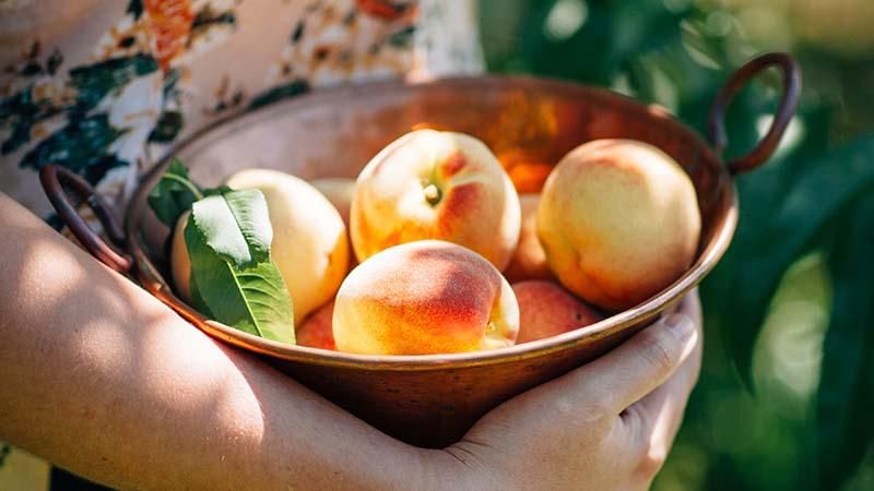 Консервация персиков на зиму - рецепты с фото