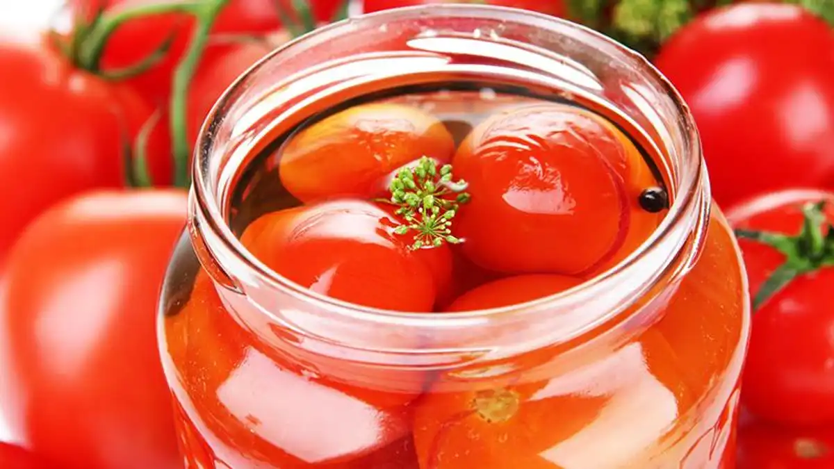 Оптимальна кількість заливань окропом при консервуванні помідорів
