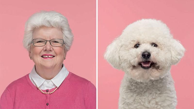 Наскільки домашні улюбленці схожі до своїх господарів: кумедна фотопідбірка Наскільки домашні улюбленці схожі до своїх господарів: кумедна фотопідбірка