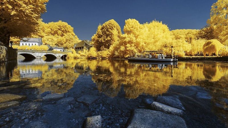Франция в желто-синих цветах: удивительный проект фотографа