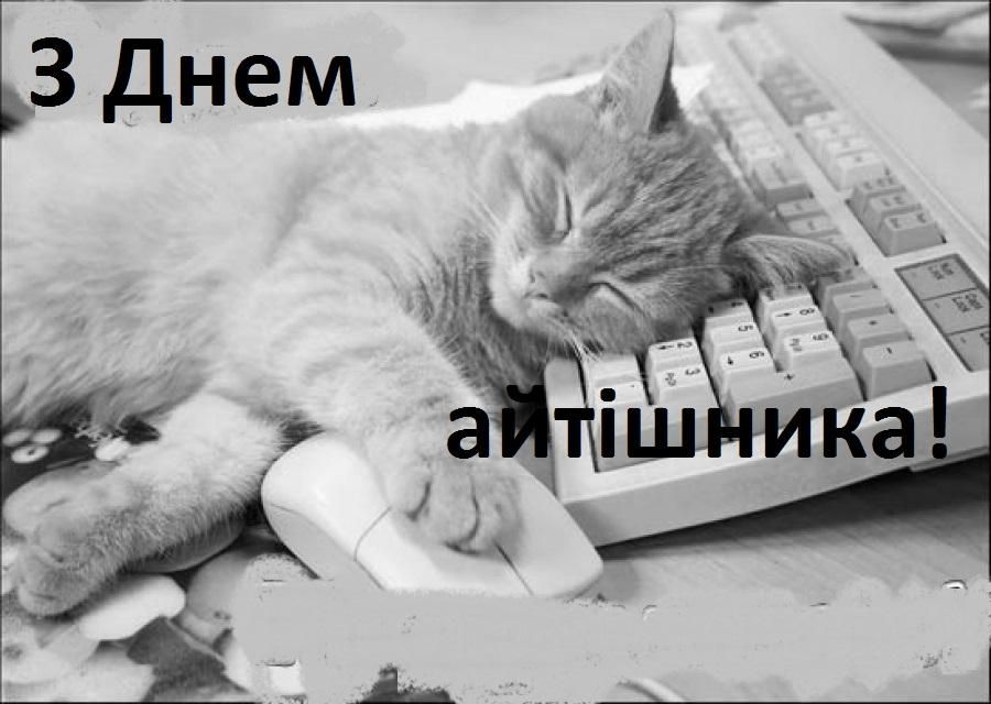 День программиста 2018 в Украине: что подарить программисту День программиста 2018 в Украине: что подарить программисту