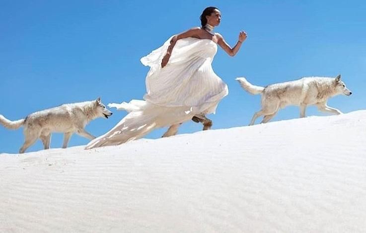 Зої Кравіц знялася у вражаючій фотосесії з вовками для глянцю: фото без ретуші Зої Кравіц знялася у вражаючій фотосесії з вовками для глянцю: фото без ретуші