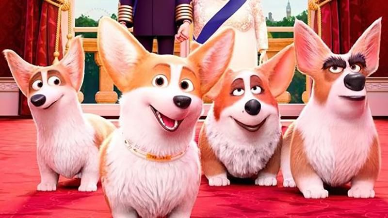 "Королевский корги": сюжет и трейлер смешного мультфильма "Королевский корги": сюжет и трейлер смешного мультфильма