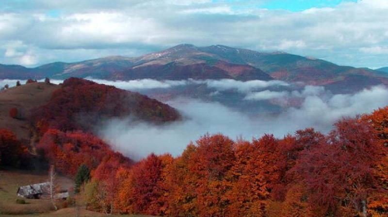 Багряна осінь у Карпатах: дивовижні фото українських гір