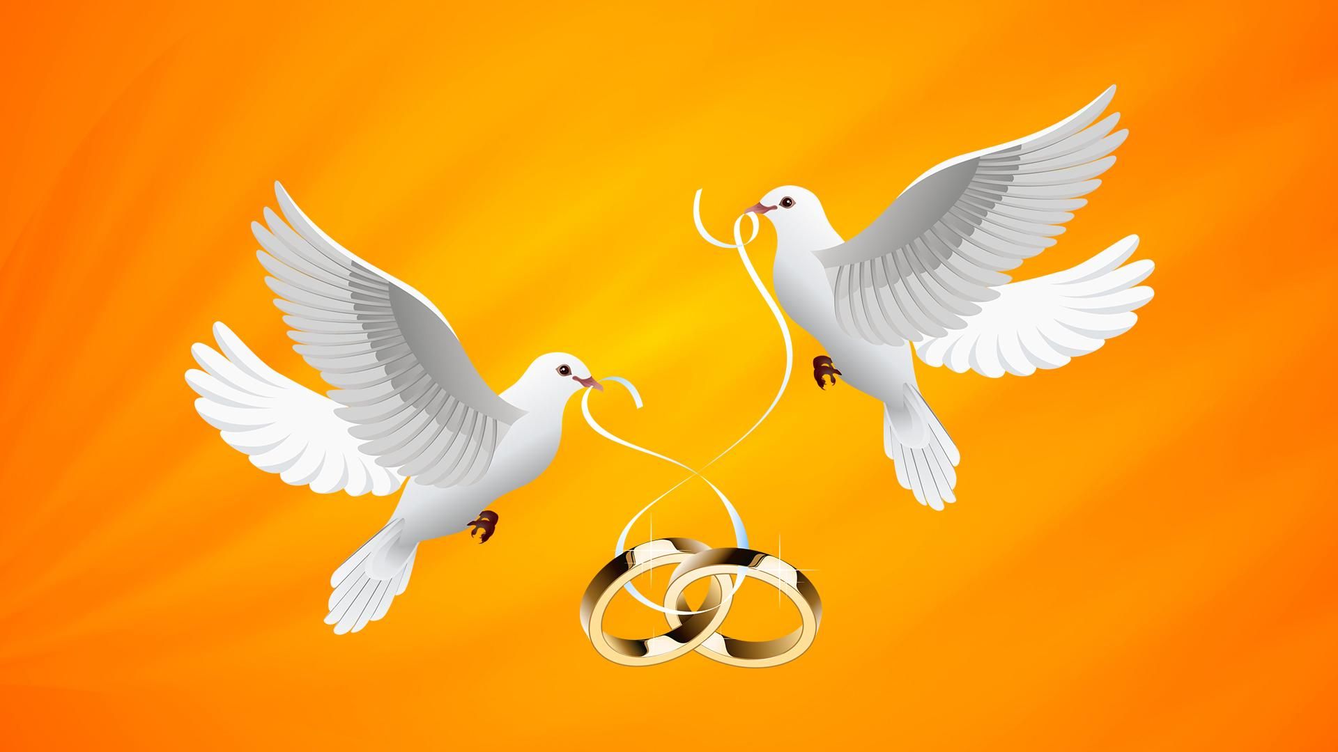 4 ноября 2018 – какой праздник в Украине и что нельзя 4 ноября 2018 – какой праздник в Украине и что нельзя