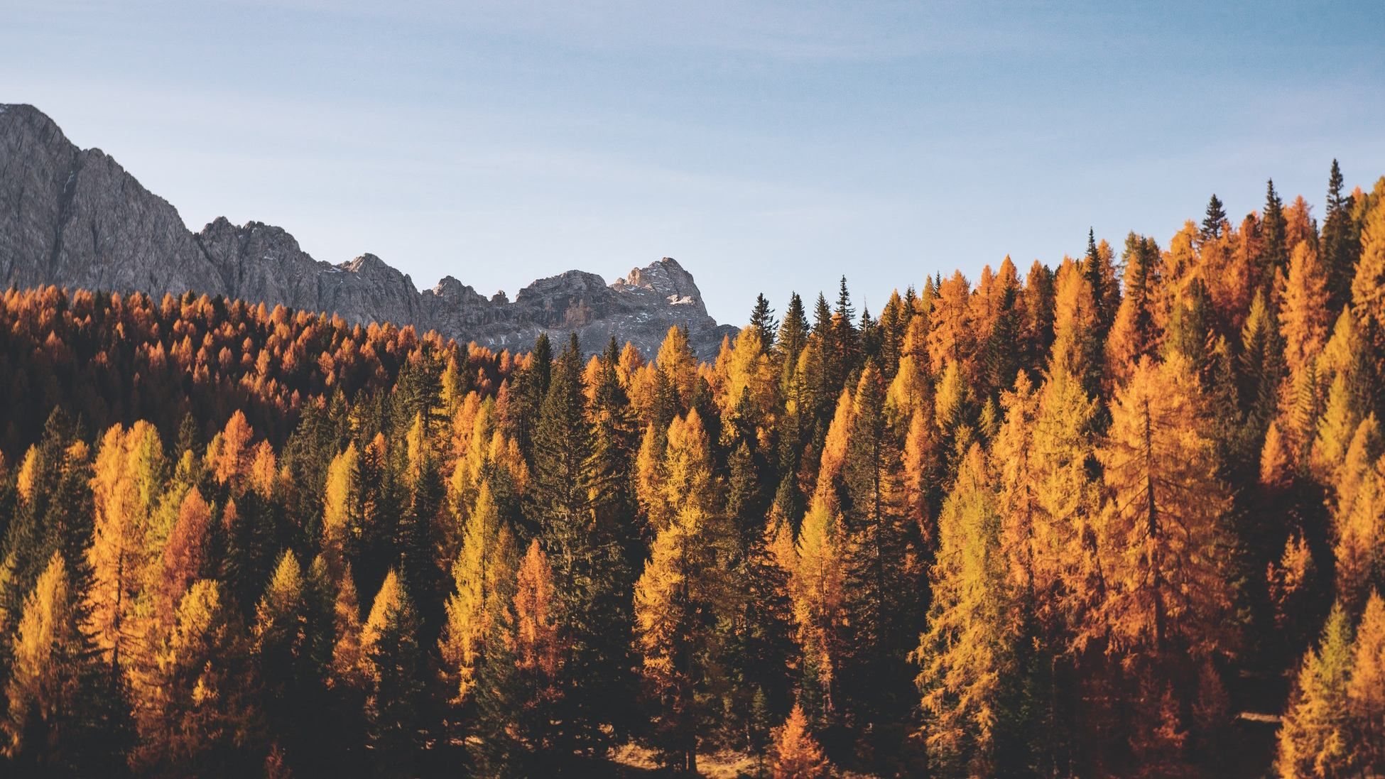 8 ноября 2018 – какой праздник в Украине и что нельзя 8 ноября 2018 – какой праздник в Украине и что нельзя