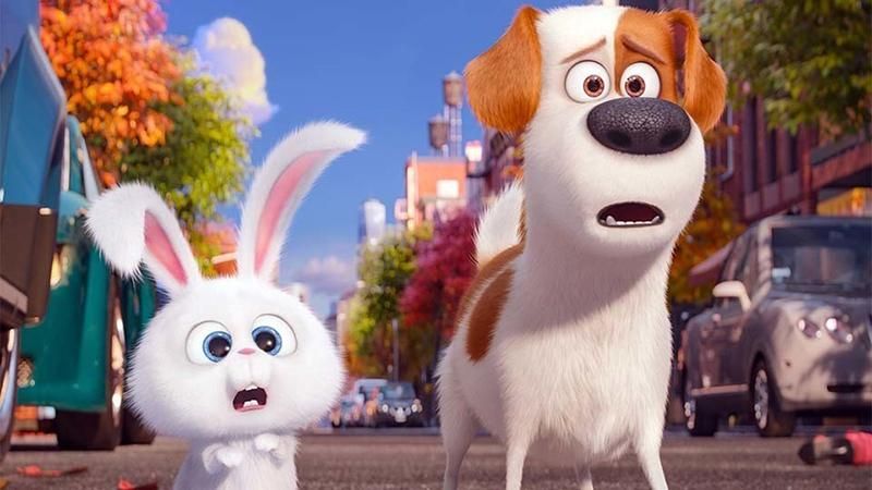 "Тайная жизнь домашних животных 2": трейлер и дата выхода мультика "Тайная жизнь домашних животных 2": трейлер и дата выхода мультика