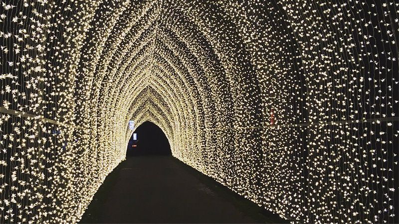 Королівські сади у Лондоні прикрасили до різдвяних свят: перші фото та відео