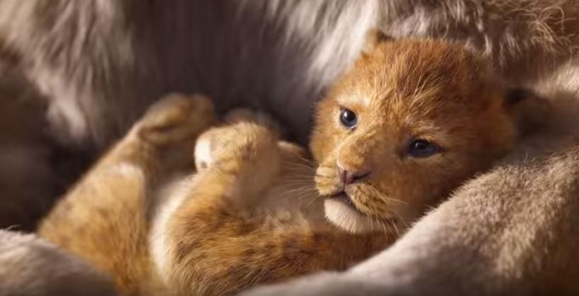 Король Лев 2019 - трейлер оновленого мультфільму - дивитися онлайн