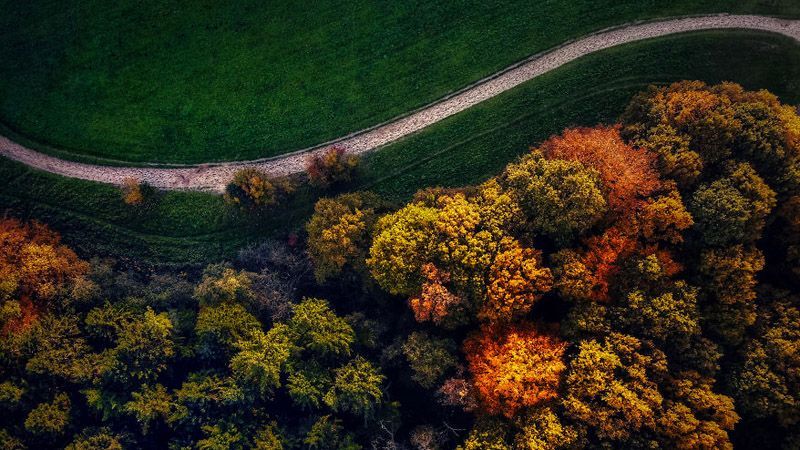 Осінній Амстердам, який заворожує красою: яскраві фото Осінній Амстердам, який заворожує красою: яскраві фото