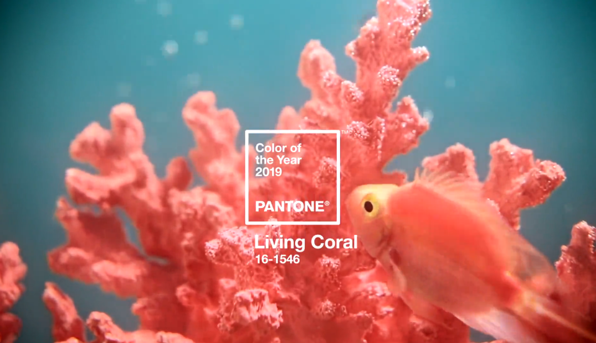 Цвет 2019 года Pantone - какой цвет Нового 2019 года Цвет 2019 года Pantone - какой цвет Нового 2019 года