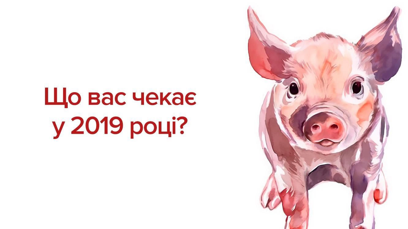 Східний гороскоп на 2019 рік - гороскоп на 2019 рік Жовтої Свині Східний гороскоп на 2019 рік - гороскоп на 2019 рік Жовтої Свині