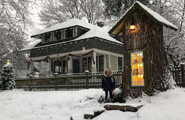 Чарівний будиночок з книгами: у США жінка перетворила мертве дерево на бібліотеку – фото
