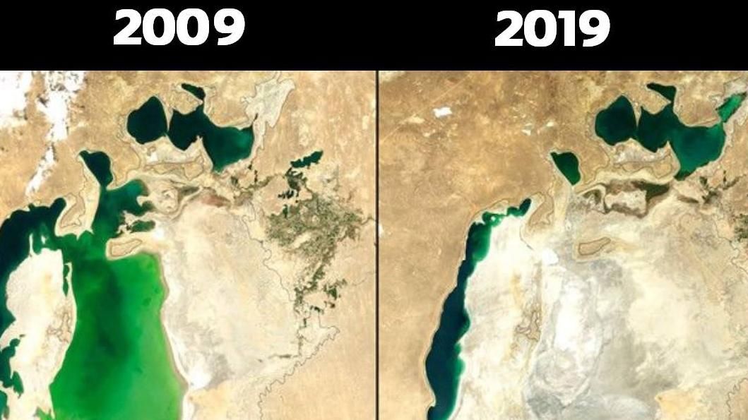 Екологи показали свій #10YearChallenge: як змінилася природа за останніх 10 років Екологи показали свій #10YearChallenge: як змінилася природа за останніх 10 років