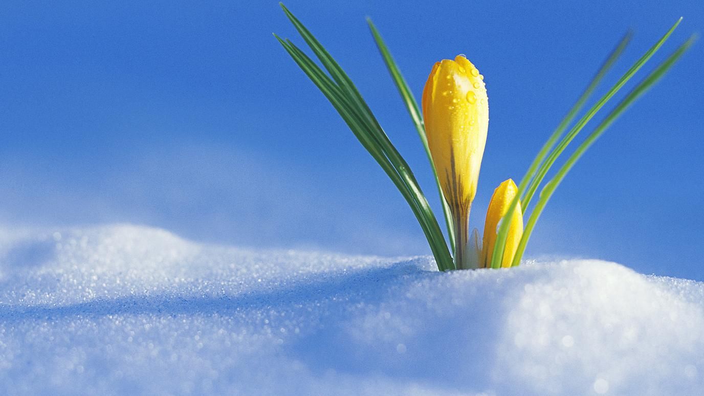 16 февраля 2019 – праздник в Украине и что нельзя делать 16 февраля 2019 16 февраля 2019 – праздник в Украине и что нельзя делать 16 февраля 2019