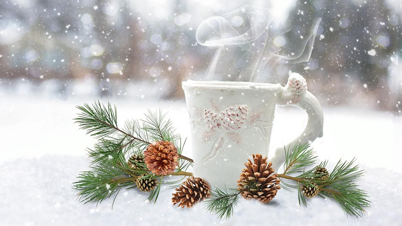 19 февраля 2019 – праздник в Украине и что нельзя делать 19 февраля 2019 19 февраля 2019 – праздник в Украине и что нельзя делать 19 февраля 2019