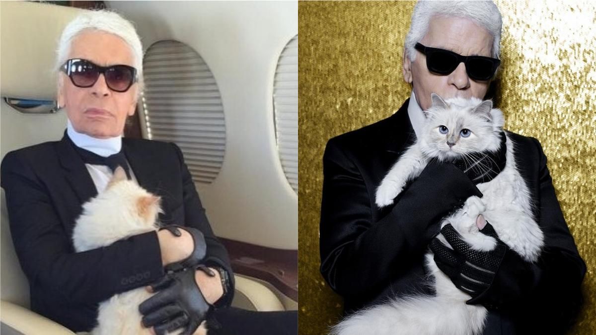 Что произойдет с кошкой Карла Лагерфельда после его смерти: неожиданные подробности Что произойдет с кошкой Карла Лагерфельда после его смерти: неожиданные подробности