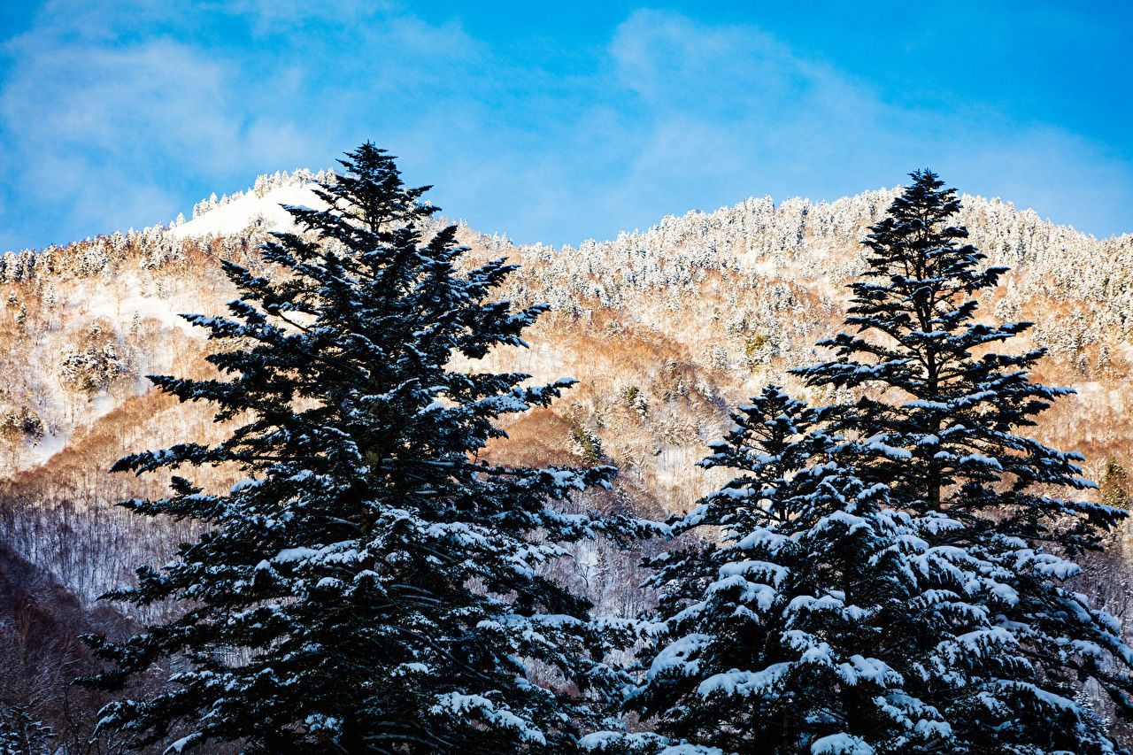 25 лютого 2019 – свято в Україні та що не можна робити 25 лютого 2019 25 лютого 2019 – свято в Україні та що не можна робити 25 лютого 2019