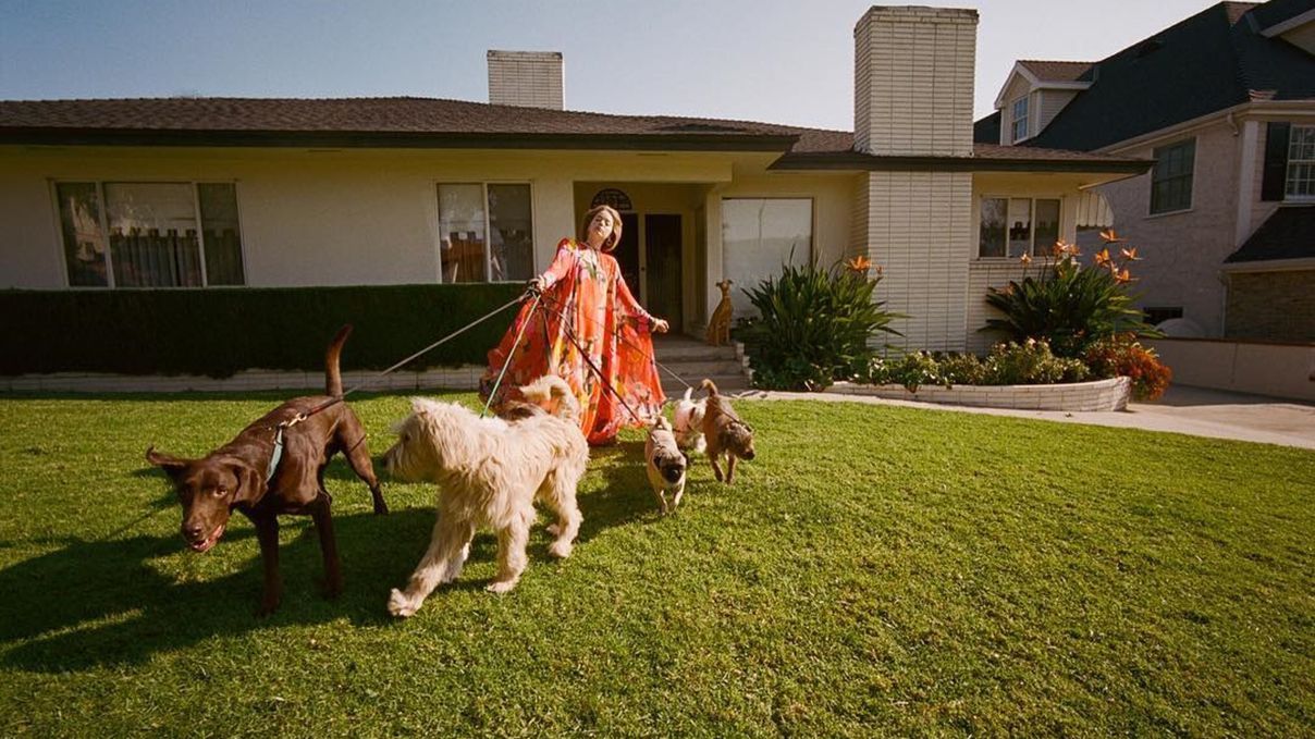 Глазами Йоргоса Лантимоса: Эмма Стоун снялась в винтажной фотосессии со многими собаками Глазами Йоргоса Лантимоса: Эмма Стоун снялась в винтажной фотосессии со многими собаками
