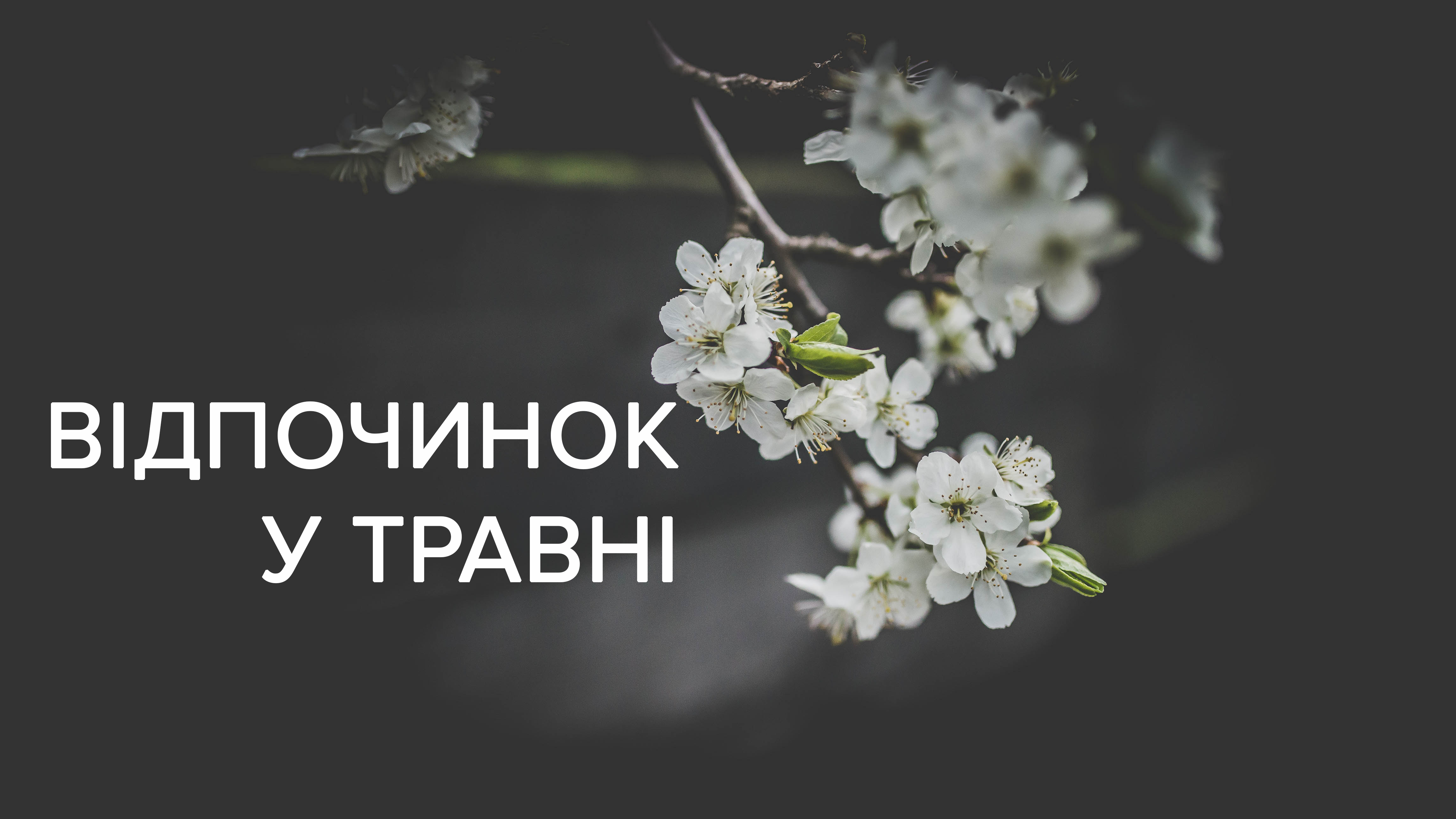 Вихідні у травні 2019 Україна на травневі свята - календар свят та вихідних днів