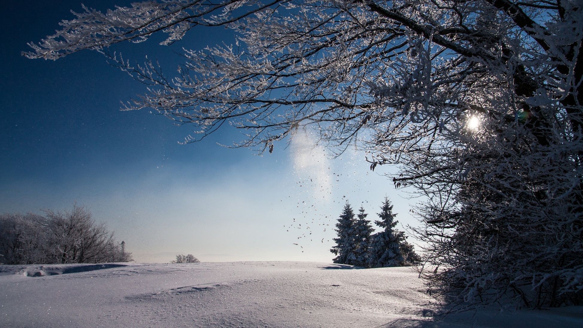 26 февраля 2019 – какой праздник в Украине и что нельзя 26 февраля 2019 – какой праздник в Украине и что нельзя