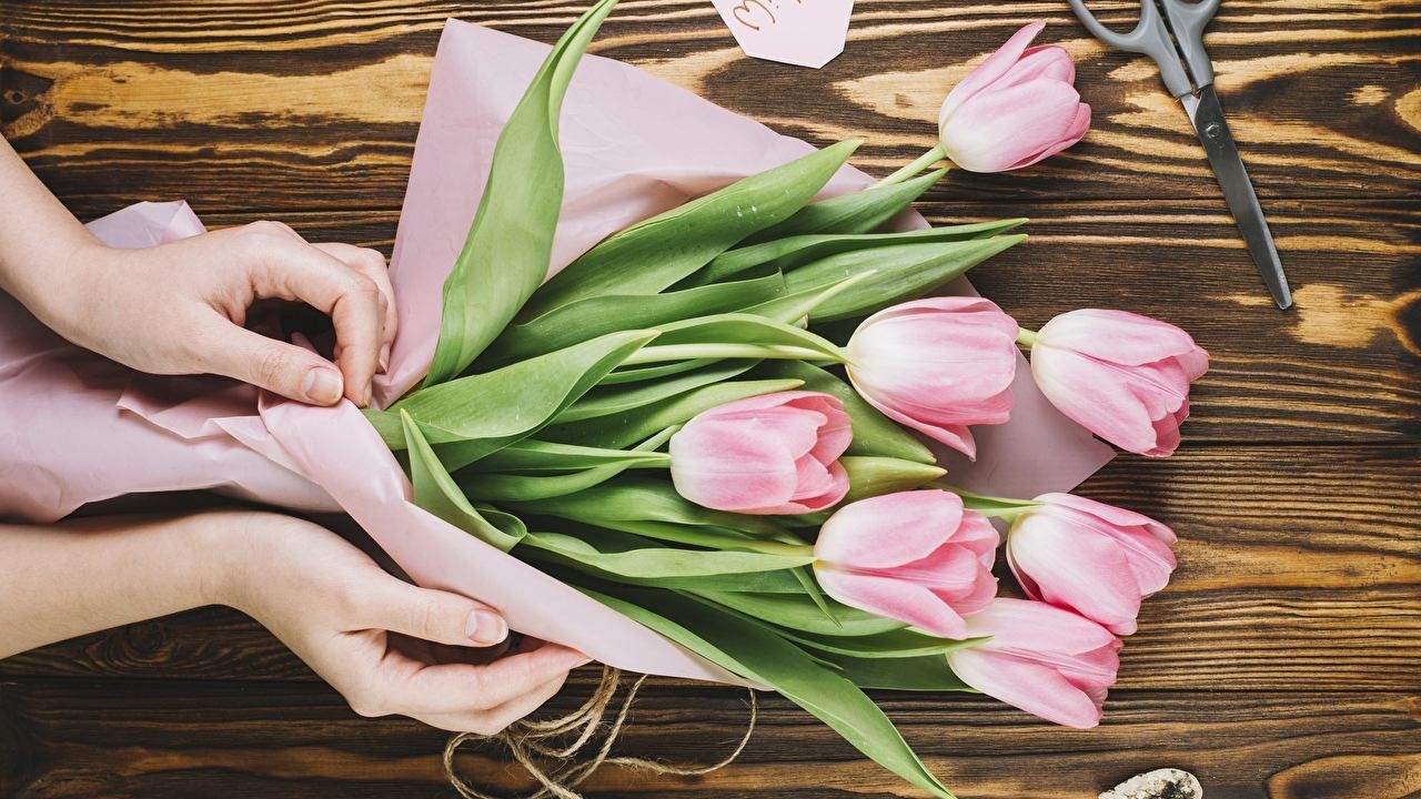 Привітання з Днем ангела Світлани - вітання з Днем Світлани у прозі та віршах Привітання з Днем ангела Світлани - вітання з Днем Світлани у прозі та віршах