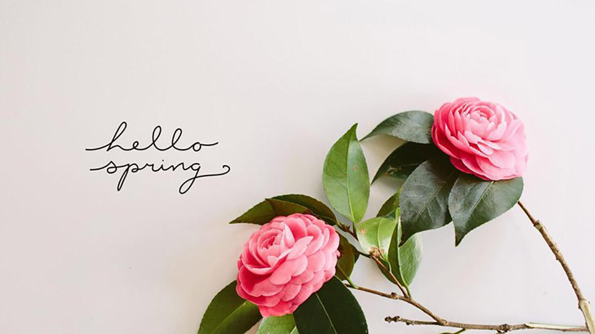 Картинки с первым Днем весны - поздравление с 1 марта 2019, открытки