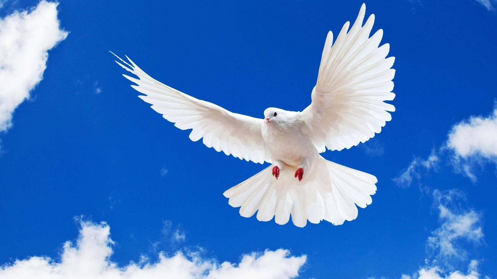 Коли Прощена неділя 2019 Україна - дата та традиції Прощеної неділі Коли Прощена неділя 2019 Україна - дата та традиції Прощеної неділі