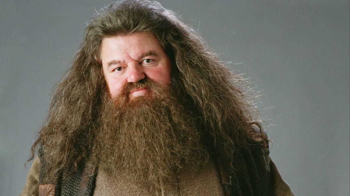 Звезда" Гарри Поттера", который сыграл Хагрида, нуждается в срочной операции Звезда" Гарри Поттера", который сыграл Хагрида, нуждается в срочной операции
