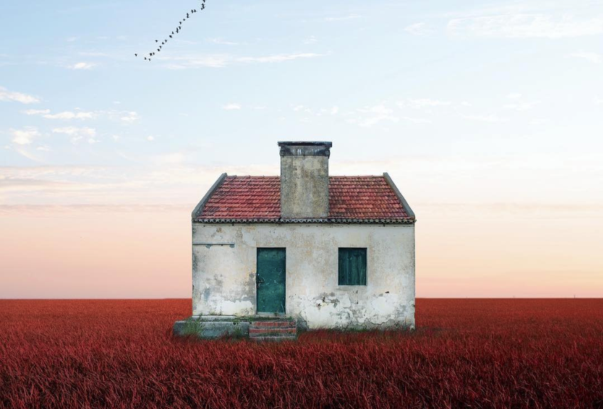 Самотні будинки: красива скромність у колажах португальського фотографа