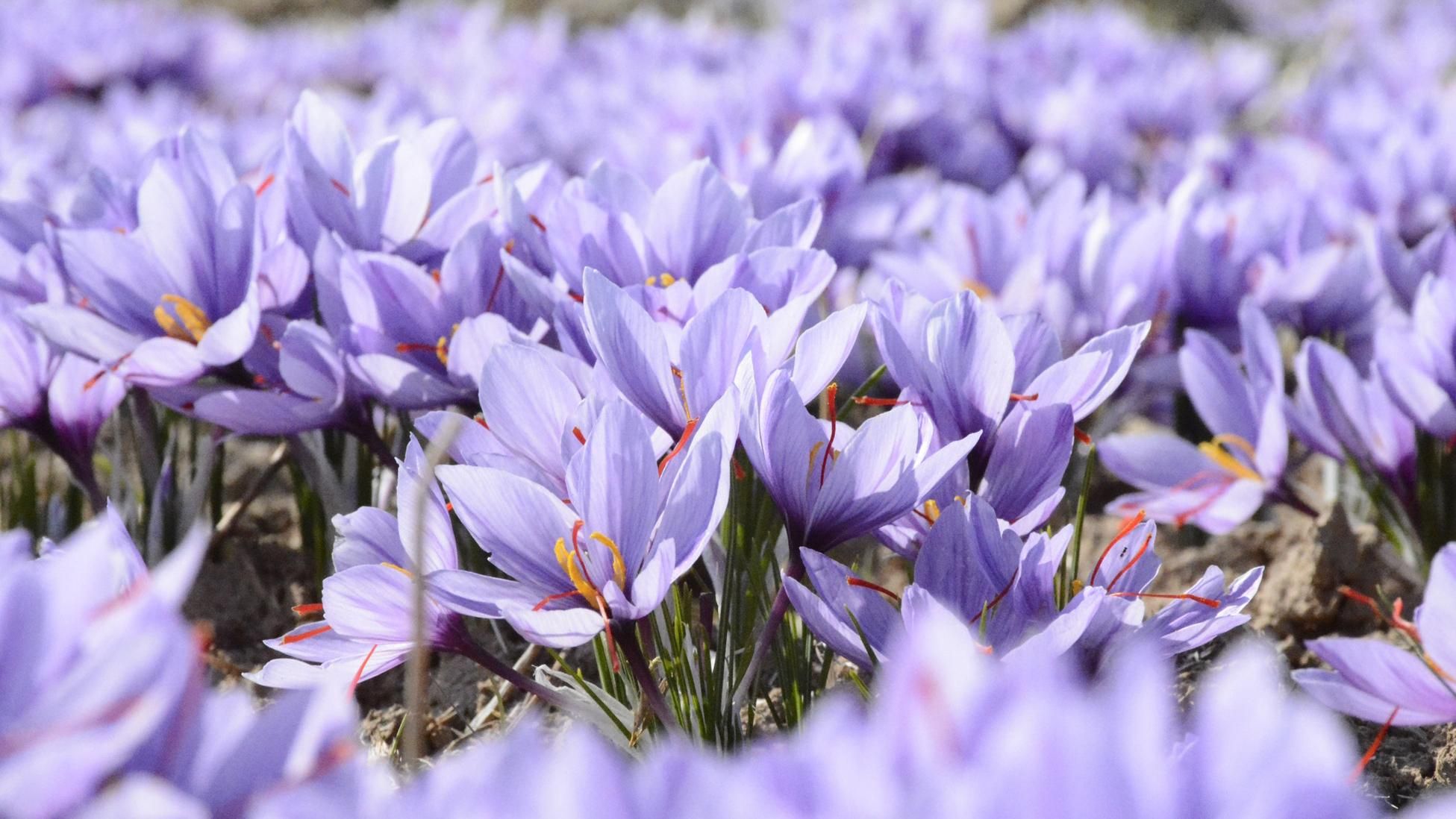 26 березня 2019 – свято в Україні та що не можна робити 26 березня 26 березня 2019 – свято в Україні та що не можна робити 26 березня