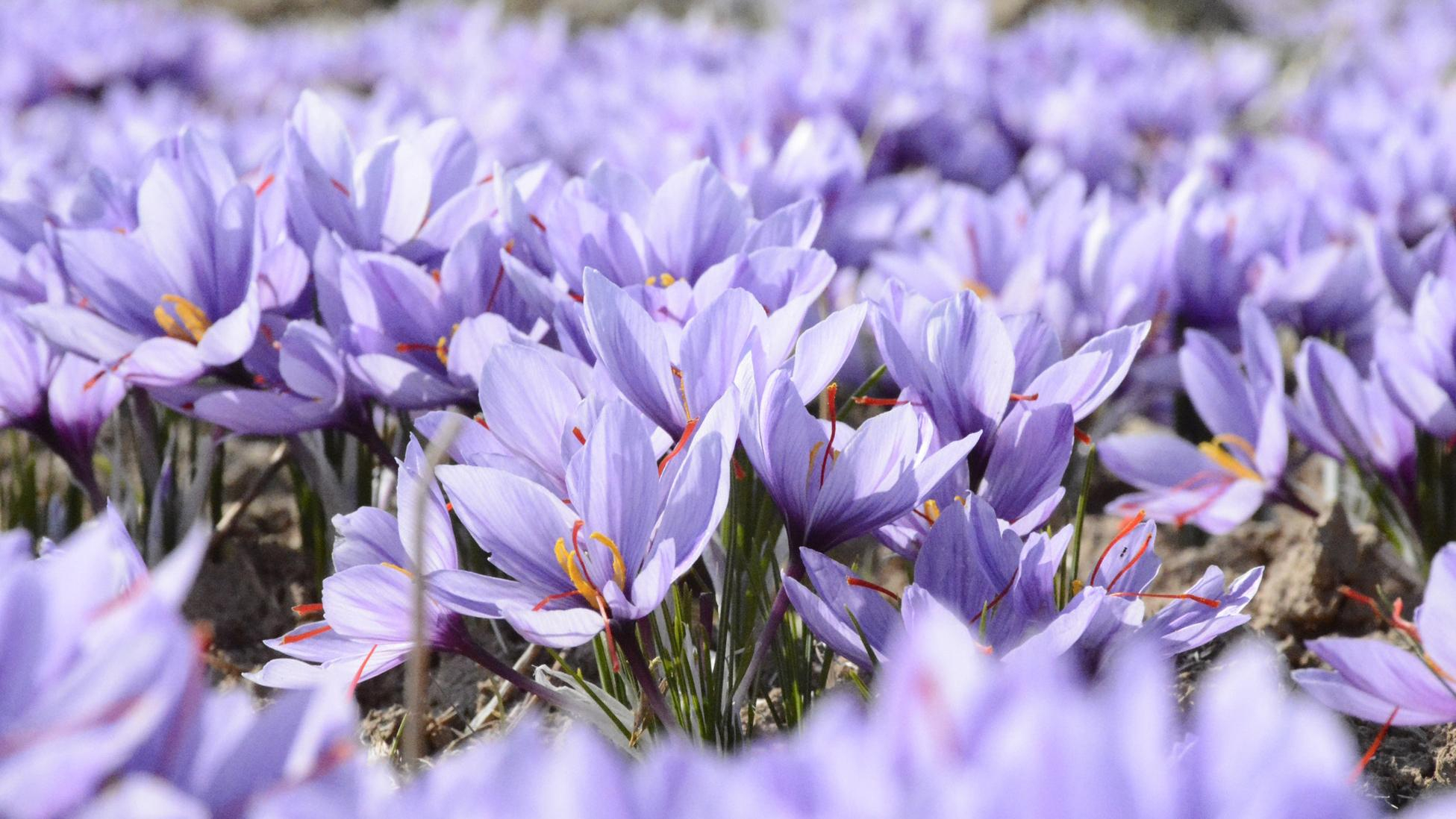 26 марта 2019 – праздник в Украине и что нельзя делать 26 марта