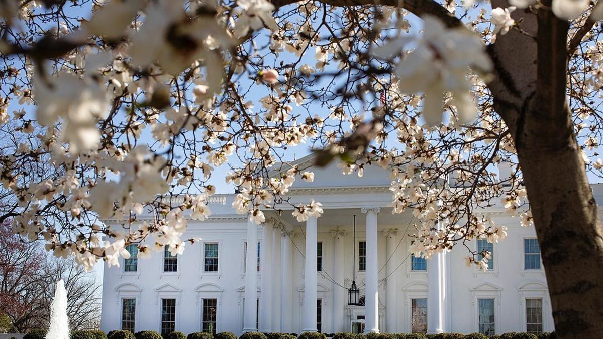 У квітах та із зеленим газоном: Іванка Трамп показала, як виглядає подвір'я Білого дому