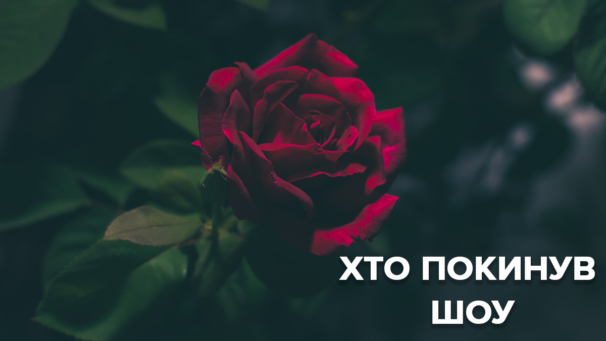 Холостяк 9 сезон 6 выпуск смотреть онлайн - кто ушел 12.04.2019