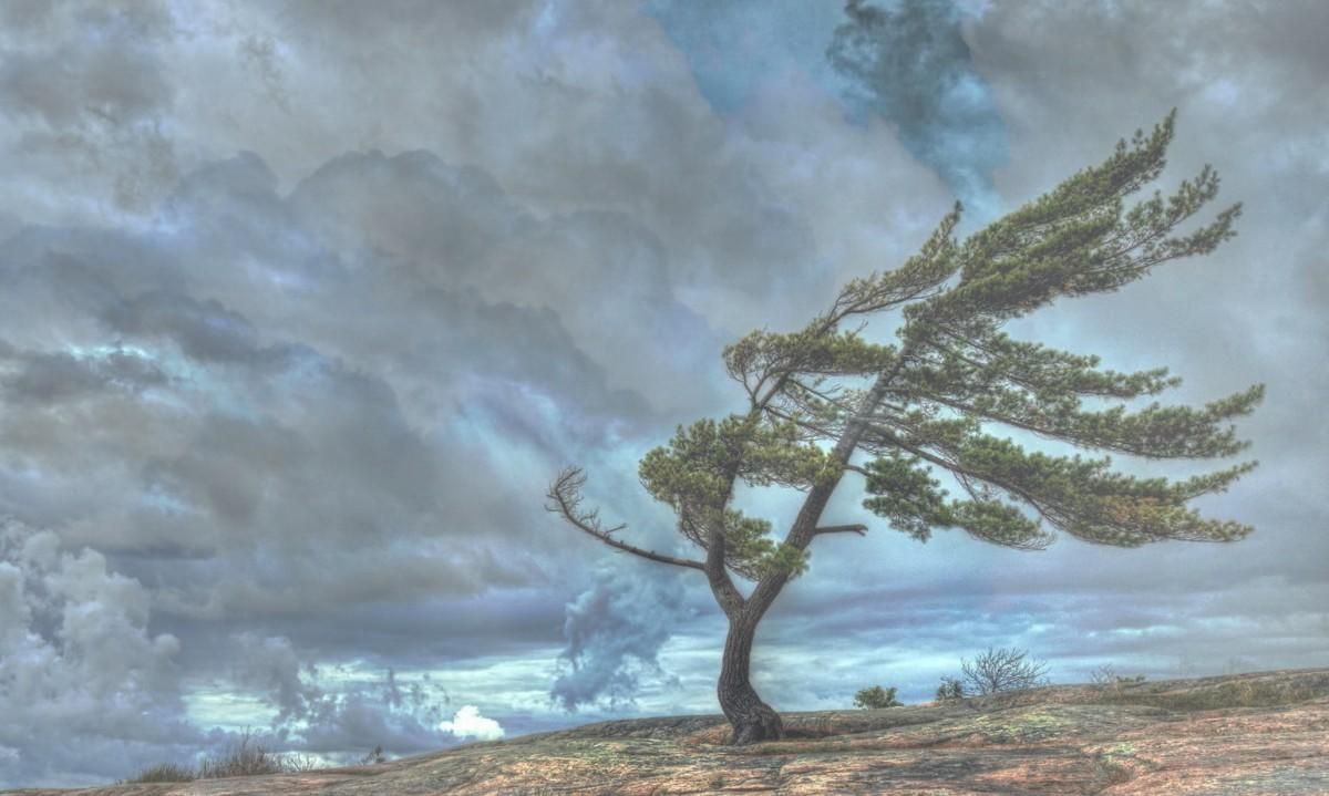 Еврейские кучки 2020 перед Пасхой – что это, когда будут в Украине Еврейские кучки 2020 перед Пасхой – что это, когда будут в Украине