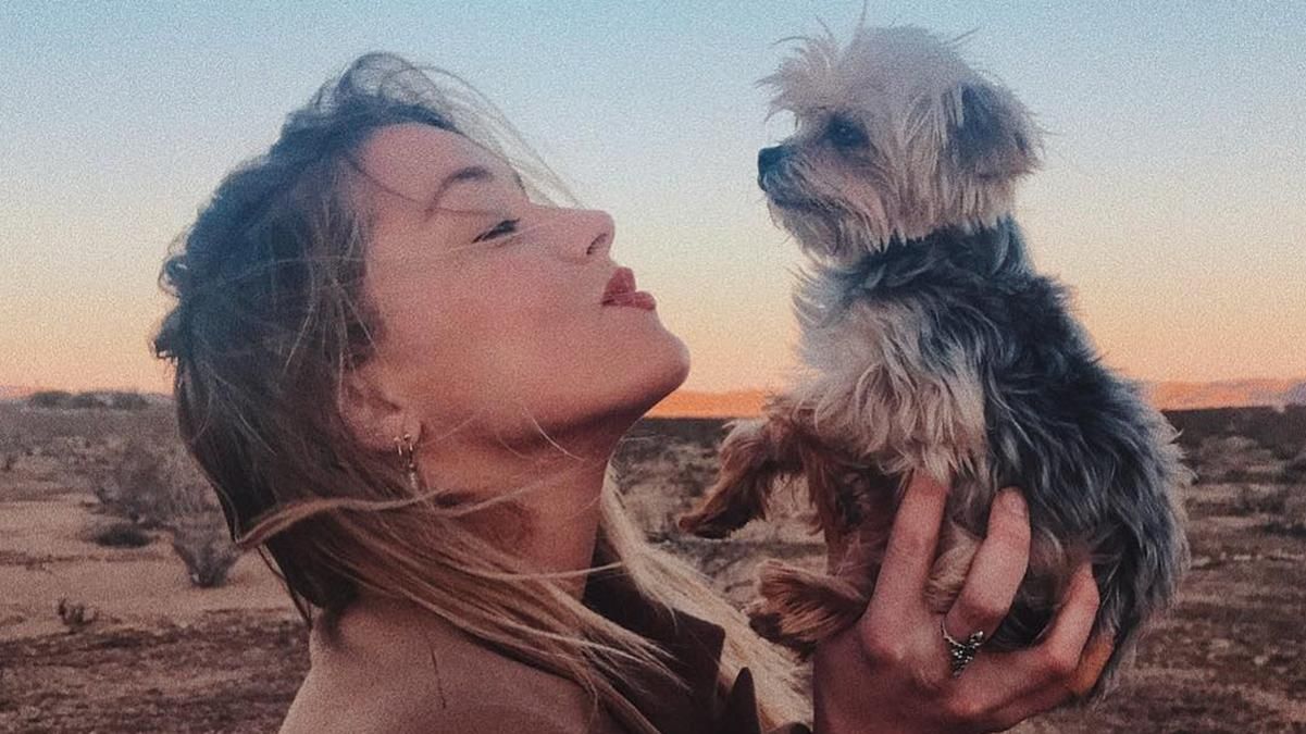 Животные, раритетные авто и мебель: что удалось отсудить Хёрд у экс-супруга Деппа Животные, раритетные авто и мебель: что удалось отсудить Хёрд у экс-супруга Деппа