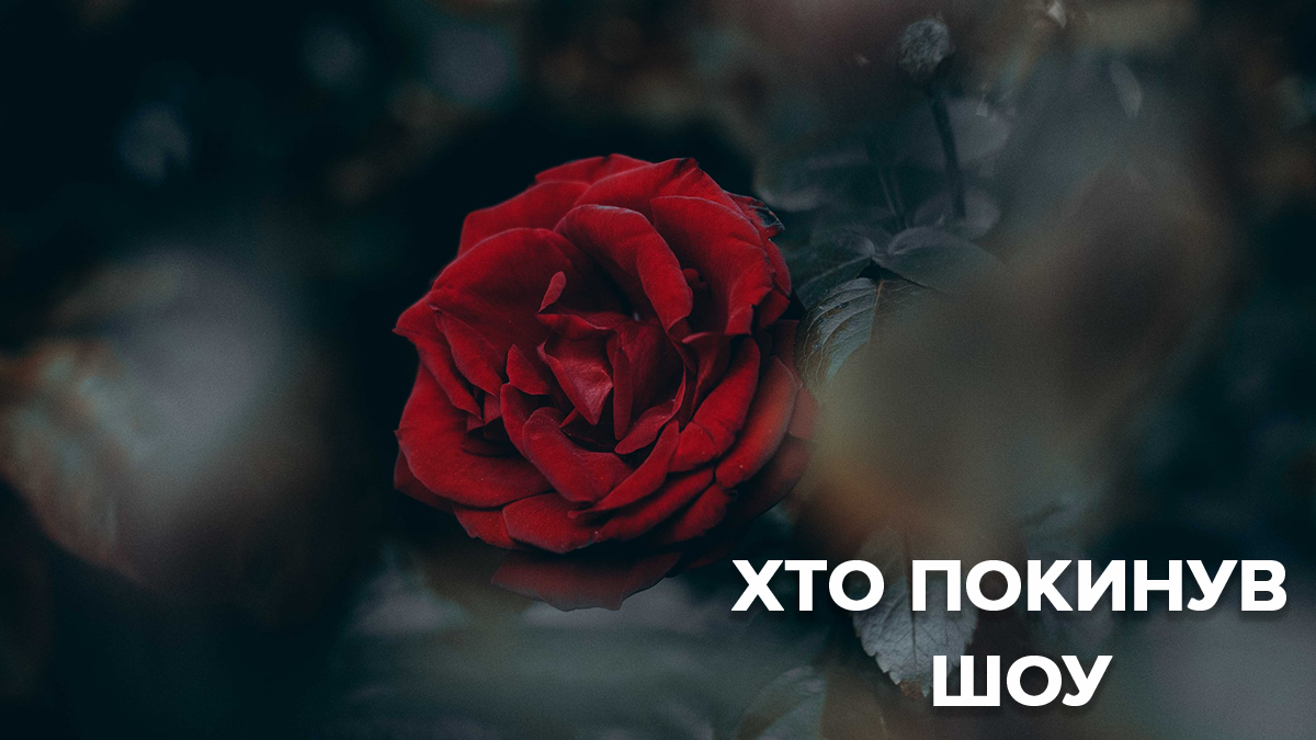 Холостяк 9 сезон 7 випуск - дивитися онлайн хто пішов 19.04.2019 Холостяк 9 сезон 7 випуск - дивитися онлайн хто пішов 19.04.2019