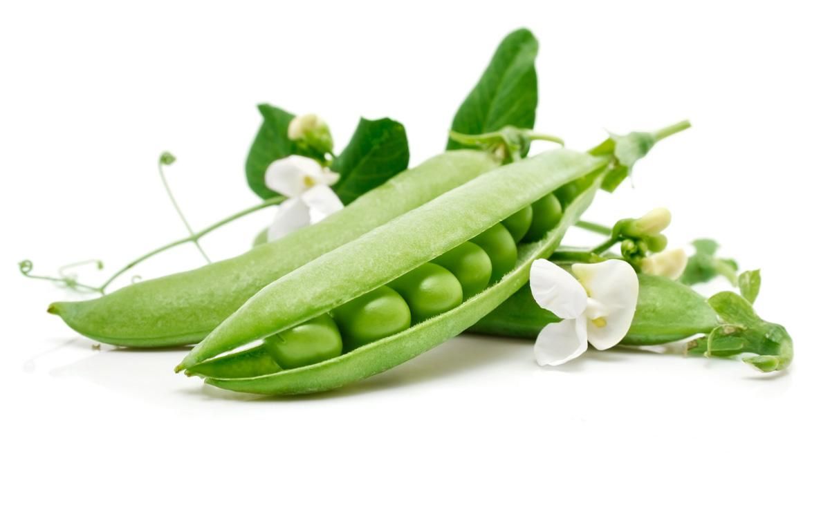 9 мая 2019 – какой праздник в Украине и что нельзя делать 9 мая 2019 – какой праздник в Украине и что нельзя делать