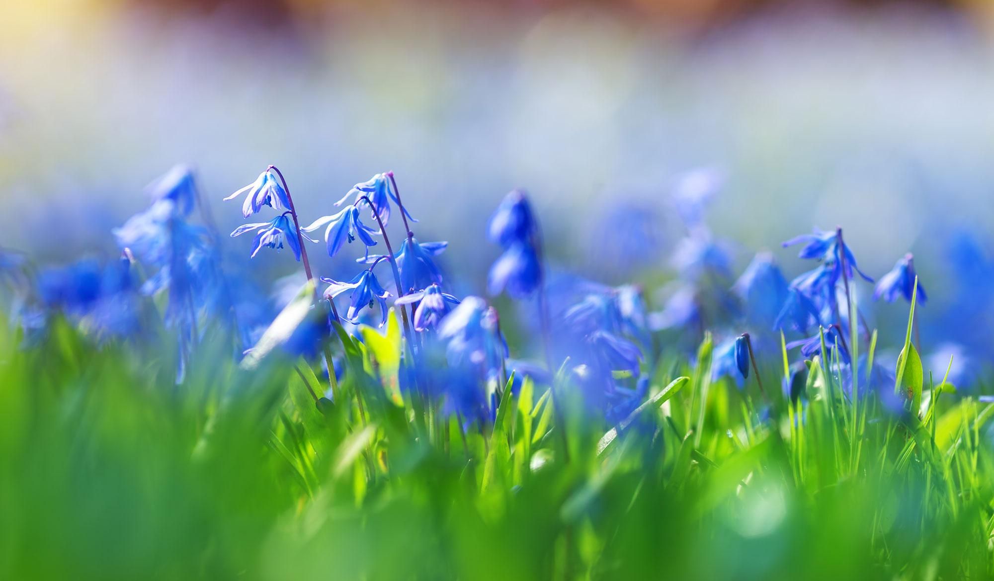 16 мая 2019 – какой праздник в Украине и что нельзя робити 16 мая 2019 – какой праздник в Украине и что нельзя робити